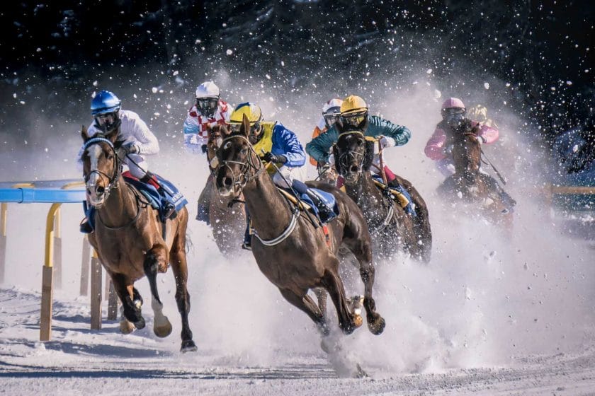 chevaux